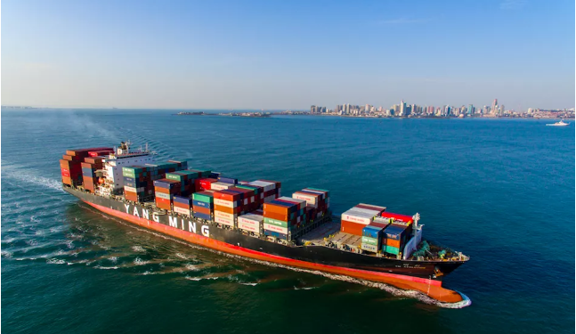 再创纪录！青岛外贸今年有望连跨两个台阶，突破8000亿