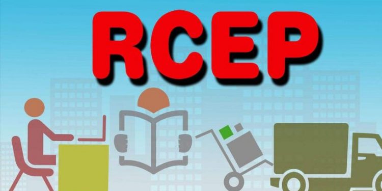 RCEP助力稳外贸 各地出口迎开门红