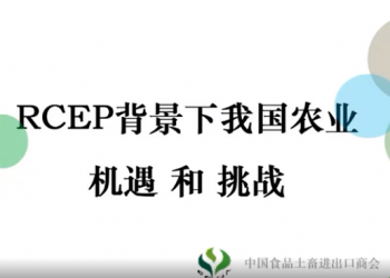 “第三期RCEP政策解读与利用实务培训”回放来了！