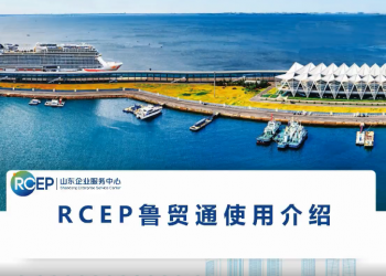 RCEP鲁贸通使用介绍