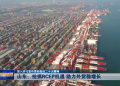 深入学习宣传贯彻党的二十大精神丨山东：抢抓RCEP机遇 助力外贸稳增长