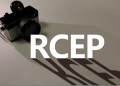 生效一周年，RCEP助力全球贸易投资增长（大数据观察）