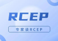 专家谈RCEP：还有哪些新的增长空间·上篇