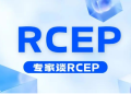 专家谈RCEP：还有哪些新的增长空间·下篇